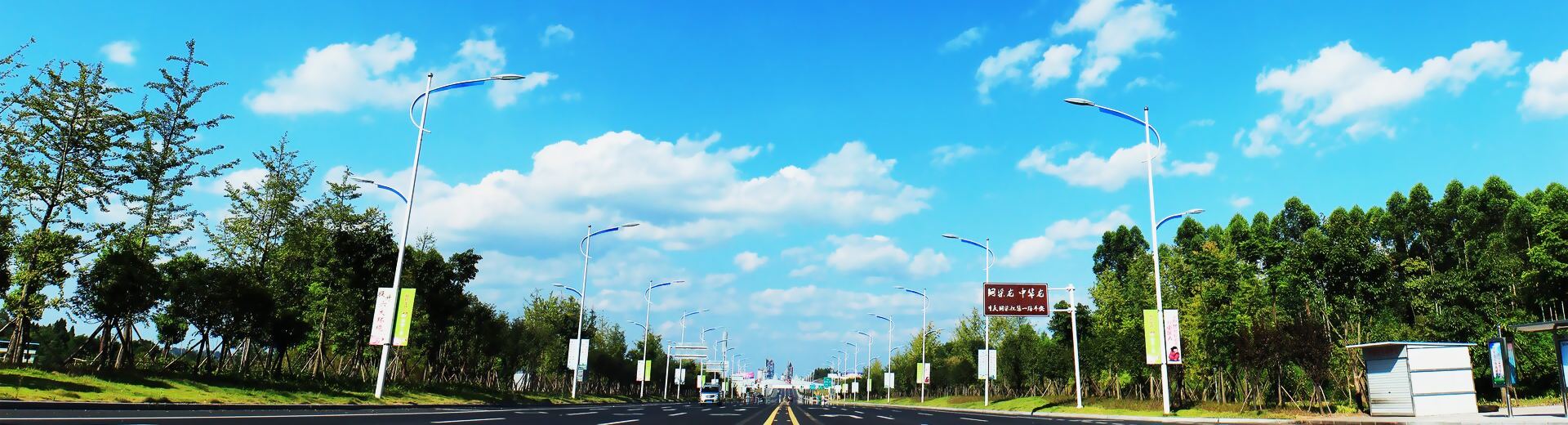 banner5
